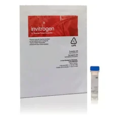 Hcs lipidtox green neutral lipid stain, for cellular imaging- 1 réactions