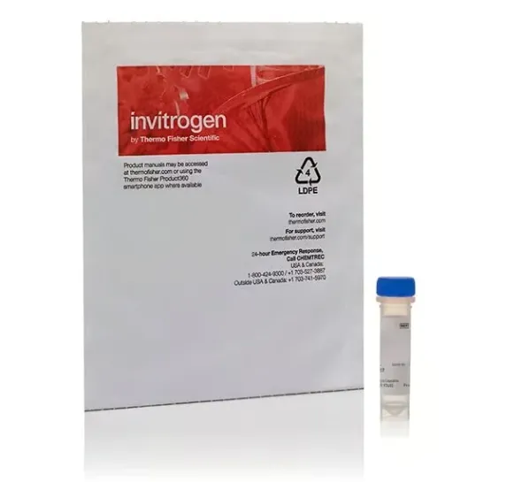 Hcs lipidtox green neutral lipid stain, for cellular imaging- 1 réactions