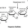 Heparinase iii from flavobacterium 5 U