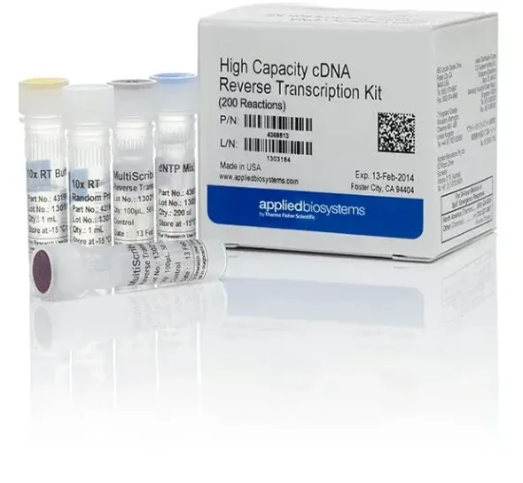 High-capacity cdna reverse transcription kit-1,000 réactions