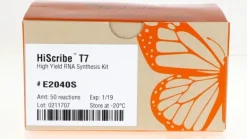 Hiscribe t7 high yield rna synthesis kit 50 réactions