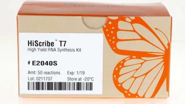 Hiscribe t7 high yield rna synthesis kit 50 réactions