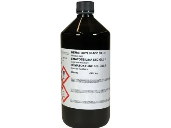 Hématoxyline de Gill type II DIAPATH 1 l x 4