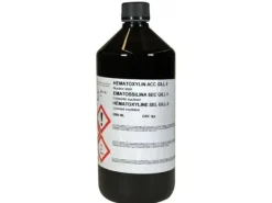 Hématoxyline de Gill type II DIAPATH 2,5 l x 1