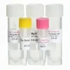 Hot firepol dna polymerase (hot start) 1000 unités