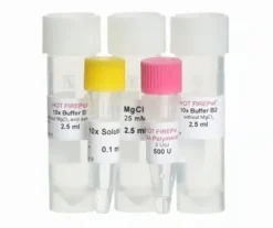 Hot firepol dna polymerase (hot start) 1000 unités