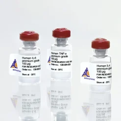 Human Activin A premium grade/100 µg
