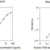 Human IgG ELISA Kit for serum, plasma, 1 kit
