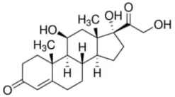 Hydrocortisone BioReagent, suitable for cell culture, 10 g