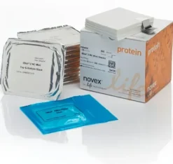 IBLOT NC GEL TRANSFER STACKS Mini