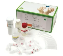 Illustra blood mini (250) kits de purification d adn illustra 250 Réactions