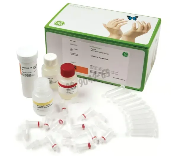 Illustra blood mini (250) kits de purification d adn illustra 250 Réactions