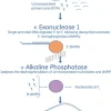 Illustra exoprostar-1 step (100 rcn) 100 Réactions
