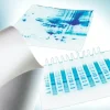 I mmobilon-p membrane pvdf 0,45 µm 7 x 8,4 cm feuille x 50