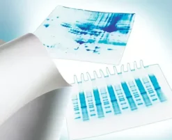 I mmobilon-p membrane pvdf 0,45 µm 7 x 8,4 cm feuille x 50