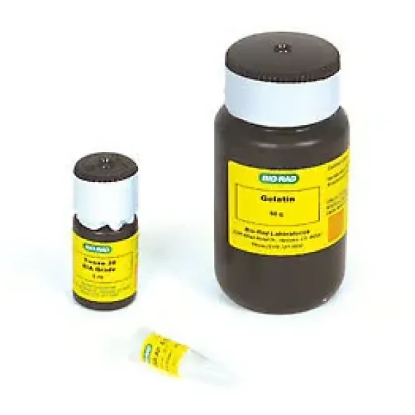 Immun-blot goat anti-mouse igg (h + l)-ap assay kit
