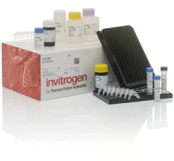 Inflammation 20-plex human procartaplex panel-96 tests