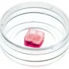 Insert de culture cellulaire x 30
