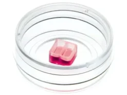 Insert de culture cellulaire x 30