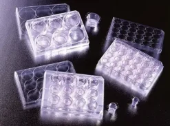 Insert Falcon Ø 23,4 mm Pores Ø 3 0 µm 6 puits BØ Membrane transparente P E T - 8 sachets de 6