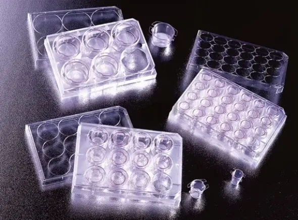 Insert FalconØ 6,3 mm Pores Ø 8 0 µm 24 puits BØ Membrane transparente P E T -6 sachets de 8