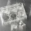 Insert Ø 24 mm Trans puits PS 0,4 µm membrane PC traité TC stérile x 24
