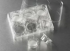 Insert Ø 24 mm Trans puits PS 0,4 µm membrane PC traité TC stérile x 24