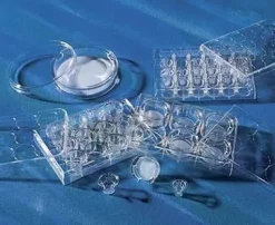 Insert Ø 6,5 mm Trans puits PS 5,0 µm membrane PC traité TC stérile x 48