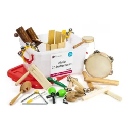 Instrument de musique - Malle de 16 instruments (40 x 24 x 23 cm)