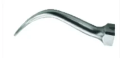 Instrument Insert de détartrage No 4L, clé dynamo incl. en T Universel, application sous-gingivale, sus-gingival et