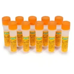 IQ SYBR Green Supermix 500 x 50 µl reactions 1 Kit