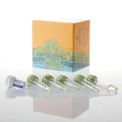 JM109 Competent Cells 1ml (5 x 200ul) 1 ml