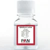 Kanamycine (sulfate) 50mg/ml 100 ml