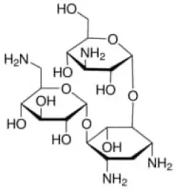 Kanamycin solution from streptomyc 20ml 20 ml