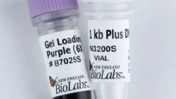 1 kb Plus DNA Ladder