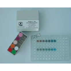 Kit de dosage des protéines bradford reactif 500