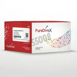 Kit de plasmide maxiprep 10 Préparations