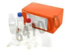 Kit enzymatique pour 135 determination d-glucose et d-fructose en cuve semimicro 1 pcs