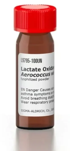 Lactate oxidase from aerococcis viridans 100 U