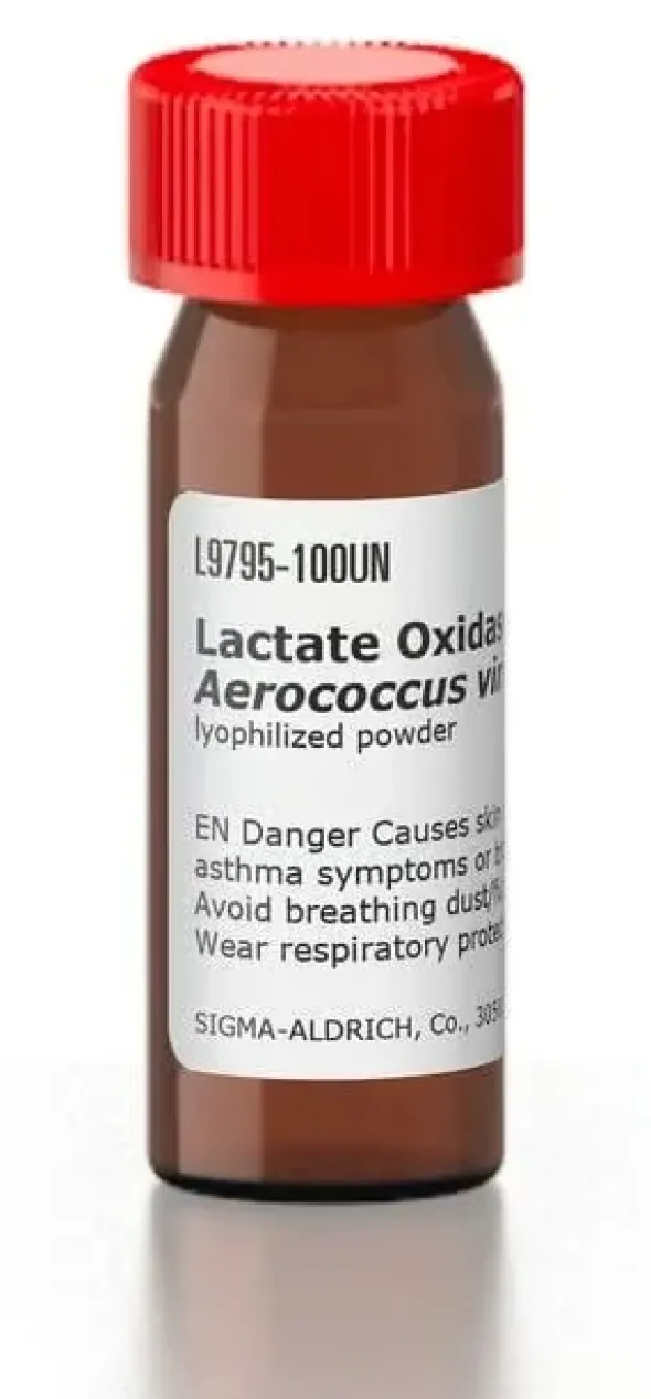 Lactate oxidase from aerococcis viridans 100 U