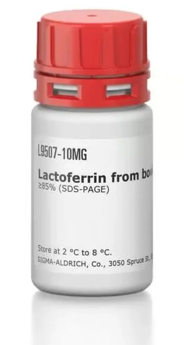 Lactoferrin from bovine milk 10 mg