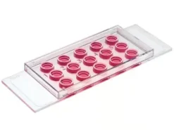 Lame Angiogenèse hydrophobe non coatée stérile x 15