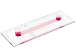 Lame I 0,8 Luer hydrophobe non coatée stérile x 15