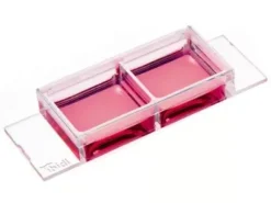 Lame 2 puits fond lamelle verre D 263 M Schott verre No 1,5H 170 µm 5 µm stérile x 15