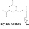 L-a-phosphatidylinositol sodium from 5 mg