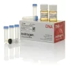 Library efficiency dh5a competent cells-5 x 200 µL