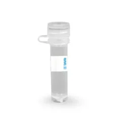 Lignée cellulaire lenti-x 293t 1 ml