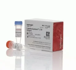 Lipofectamine ltx reagent with plus reagent-0.3 ml