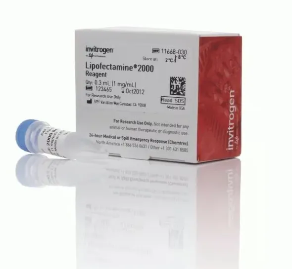 Lipofectamine 2000 transfection reagent-0.3 ml