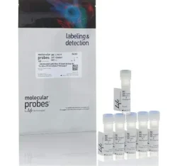 Live/dead fixable near-ir dead cell stain kit, for 633 or 635 nm excitation- 200 réactions